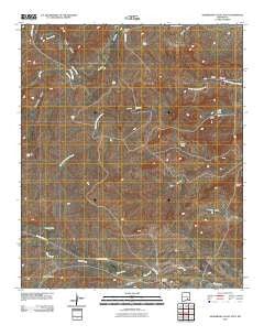 Sagebrush Valley East New Mexico Historical topographic map, 1:24000 scale, 7.5 X 7.5 Minute, Year 2010