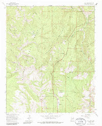 Saliz Pass New Mexico Historical topographic map, 1:24000 scale, 7.5 X 7.5 Minute, Year 1963