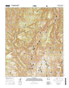 Saliz Pass New Mexico Current topographic map, 1:24000 scale, 7.5 X 7.5 Minute, Year 2017