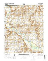 Sallies Spring New Mexico Current topographic map, 1:24000 scale, 7.5 X 7.5 Minute, Year 2013