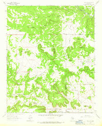 San Juan New Mexico Historical topographic map, 1:24000 scale, 7.5 X 7.5 Minute, Year 1963