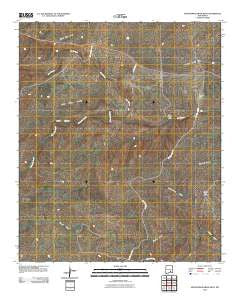 Sixteenmile Draw West New Mexico Historical topographic map, 1:24000 scale, 7.5 X 7.5 Minute, Year 2010