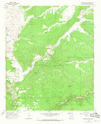 Spring Canyon New Mexico Historical topographic map, 1:24000 scale, 7.5 X 7.5 Minute, Year 1967