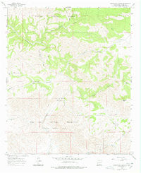 Surveyors Canyon New Mexico Historical topographic map, 1:24000 scale, 7.5 X 7.5 Minute, Year 1965