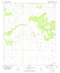 Tapia Ranch New Mexico Historical topographic map, 1:24000 scale, 7.5 X 7.5 Minute, Year 1978