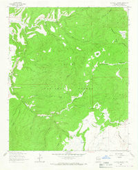 Telephone Canyon New Mexico Historical topographic map, 1:24000 scale, 7.5 X 7.5 Minute, Year 1963