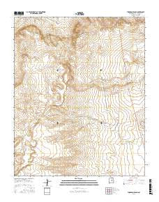 Thompson Ranch New Mexico Current topographic map, 1:24000 scale, 7.5 X 7.5 Minute, Year 2017