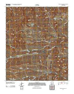 Thumb Tank Peak New Mexico Historical topographic map, 1:24000 scale, 7.5 X 7.5 Minute, Year 2010
