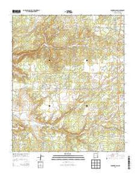 Vanderwagen New Mexico Historical topographic map, 1:24000 scale, 7.5 X 7.5 Minute, Year 2013