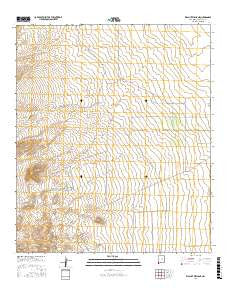 Walnut Wells NE New Mexico Current topographic map, 1:24000 scale, 7.5 X 7.5 Minute, Year 2017