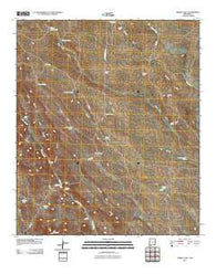 Werney Hill New Mexico Historical topographic map, 1:24000 scale, 7.5 X 7.5 Minute, Year 2010