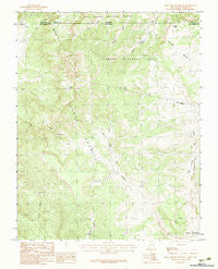 West Fork Rio Brazos New Mexico Historical topographic map, 1:24000 scale, 7.5 X 7.5 Minute, Year 1983