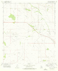 Woodley Flat New Mexico Historical topographic map, 1:24000 scale, 7.5 X 7.5 Minute, Year 1973