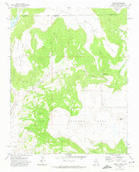 Yankee New Mexico Historical topographic map, 1:24000 scale, 7.5 X 7.5 Minute, Year 1971