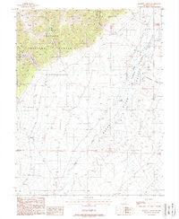 Barrett Canyon Nevada Historical topographic map, 1:24000 scale, 7.5 X 7.5 Minute, Year 1988