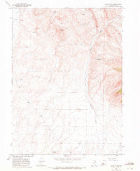 Black Butte Nevada Historical topographic map, 1:24000 scale, 7.5 X 7.5 Minute, Year 1967