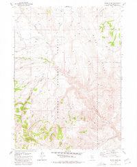 Black Ridge Nevada Historical topographic map, 1:24000 scale, 7.5 X 7.5 Minute, Year 1980