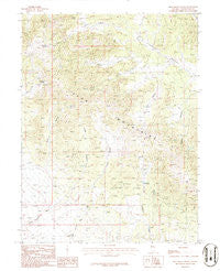 Blue Mass Canyon Nevada Historical topographic map, 1:24000 scale, 7.5 X 7.5 Minute, Year 1986