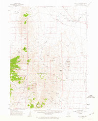 Bottle Creek Nevada Historical topographic map, 1:62500 scale, 15 X 15 Minute, Year 1961