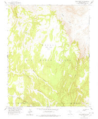 Dead Horse Flat Nevada Historical topographic map, 1:24000 scale, 7.5 X 7.5 Minute, Year 1963