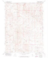 Double Mtn Nevada Historical topographic map, 1:24000 scale, 7.5 X 7.5 Minute, Year 1971