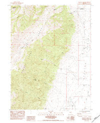 Goshute Creek Nevada Historical topographic map, 1:24000 scale, 7.5 X 7.5 Minute, Year 1984
