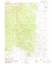 Paradise Peak Nevada Historical topographic map, 1:24000 scale, 7.5 X 7.5 Minute, Year 1988
