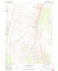 Parker Canyon Nevada Historical topographic map, 1:24000 scale, 7.5 X 7.5 Minute, Year 1980