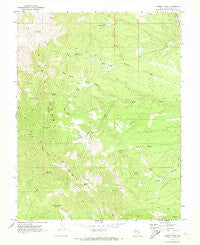 Parsnip Peak Nevada Historical topographic map, 1:24000 scale, 7.5 X 7.5 Minute, Year 1970