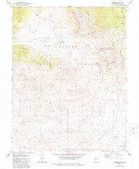 Peavine Ranch Nevada Historical topographic map, 1:24000 scale, 7.5 X 7.5 Minute, Year 1980