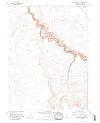 Peterson Table West Nevada Historical topographic map, 1:24000 scale, 7.5 X 7.5 Minute, Year 1974