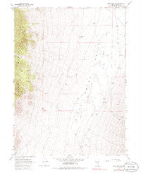 Pilot Peak SW Nevada Historical topographic map, 1:24000 scale, 7.5 X 7.5 Minute, Year 1967