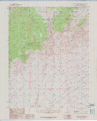Quinn Canyon Springs Nevada Historical topographic map, 1:24000 scale, 7.5 X 7.5 Minute, Year 1985