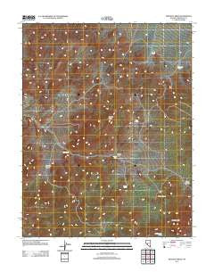 Rhyolite Ridge Nevada Historical topographic map, 1:24000 scale, 7.5 X 7.5 Minute, Year 2011