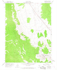 Riepetown Nevada Historical topographic map, 1:24000 scale, 7.5 X 7.5 Minute, Year 1958