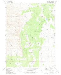 Salt Marsh Nevada Historical topographic map, 1:24000 scale, 7.5 X 7.5 Minute, Year 1980