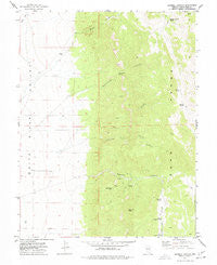 Sawmill Canyon Nevada Historical topographic map, 1:24000 scale, 7.5 X 7.5 Minute, Year 1977