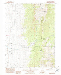 Schellbourne Nevada Historical topographic map, 1:24000 scale, 7.5 X 7.5 Minute, Year 1982