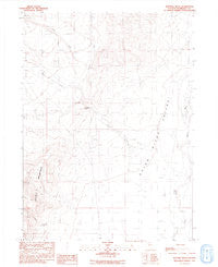 Sentinel Rock Nevada Historical topographic map, 1:24000 scale, 7.5 X 7.5 Minute, Year 1991