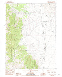 Silver Canyon Nevada Historical topographic map, 1:24000 scale, 7.5 X 7.5 Minute, Year 1982