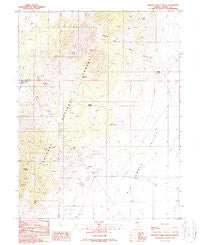 Simpson Park Canyon Nevada Historical topographic map, 1:24000 scale, 7.5 X 7.5 Minute, Year 1989
