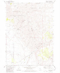 Spring City Nevada Historical topographic map, 1:24000 scale, 7.5 X 7.5 Minute, Year 1980