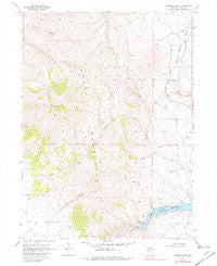 Summer Camp Nevada Historical topographic map, 1:24000 scale, 7.5 X 7.5 Minute, Year 1968