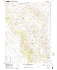 The Banjo Nevada Historical topographic map, 1:24000 scale, 7.5 X 7.5 Minute, Year 1980