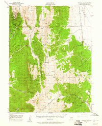 Treasure Hill Nevada Historical topographic map, 1:62500 scale, 15 X 15 Minute, Year 1949