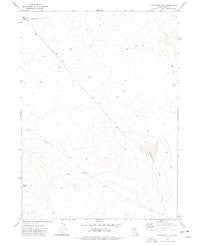 Twelvemile Flat Nevada Historical topographic map, 1:24000 scale, 7.5 X 7.5 Minute, Year 1973