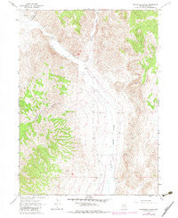 Twelvemile Ranch Nevada Historical topographic map, 1:24000 scale, 7.5 X 7.5 Minute, Year 1967