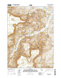 Virgin Valley Nevada Current topographic map, 1:24000 scale, 7.5 X 7.5 Minute, Year 2015