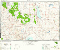 Walker Lake Nevada Historical topographic map, 1:250000 scale, 1 X 2 Degree, Year 1962