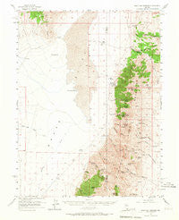 Walti Hot Springs Nevada Historical topographic map, 1:62500 scale, 15 X 15 Minute, Year 1956